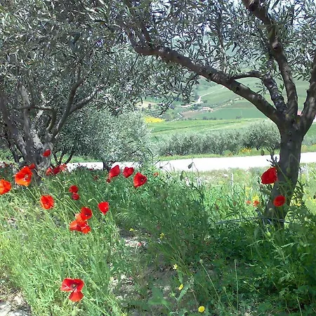 Farma Agata *