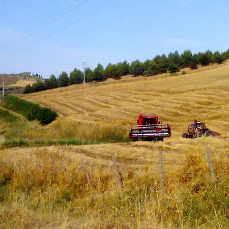 Farma Agata